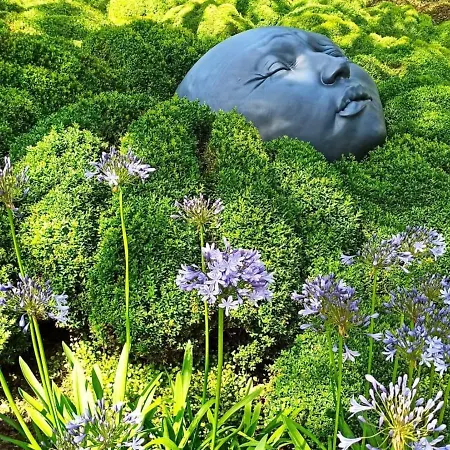 In Etretat Near Cliffs & Bordeaux-Saint-Clair