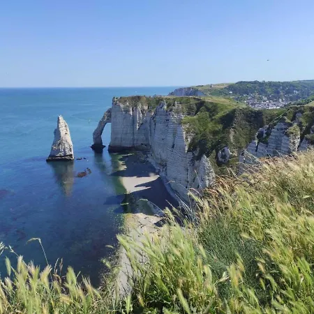 別荘 In Etretat Near Cliffs & *