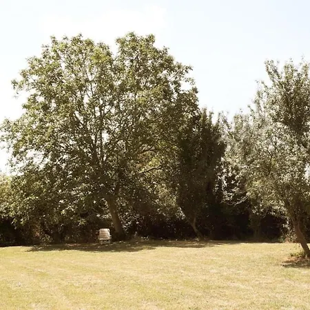 In Etretat Near Cliffs &