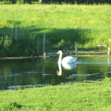 In Etretat Near Cliffs & Tatil Evi *