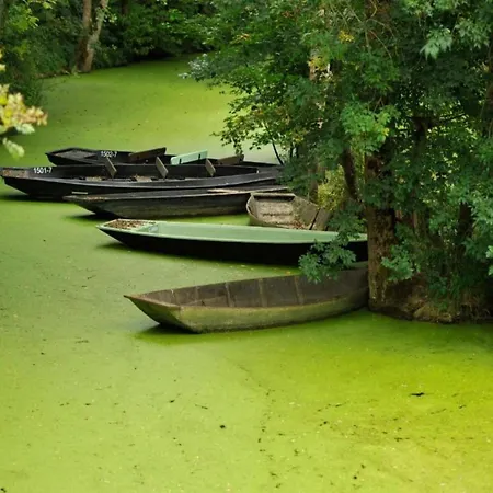In Etretat Near Cliffs & *